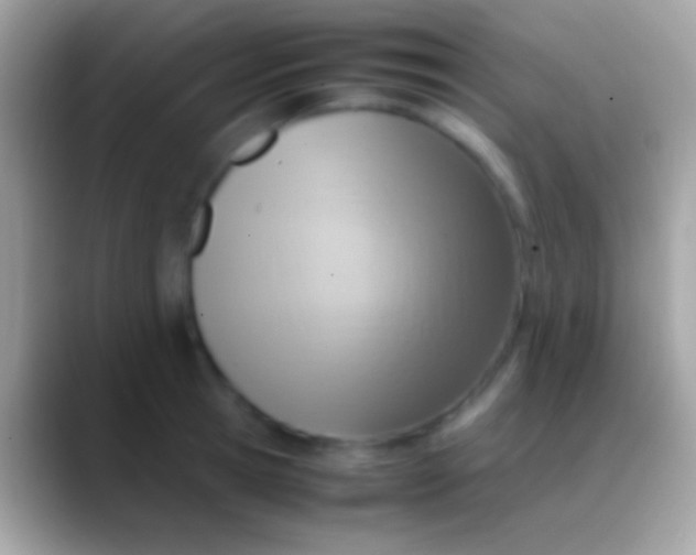 X0000088150945200706041352