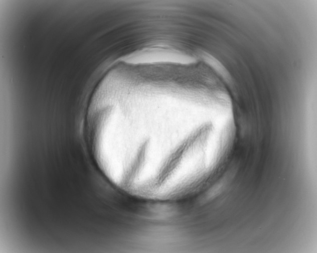 X0000088150946200706041352