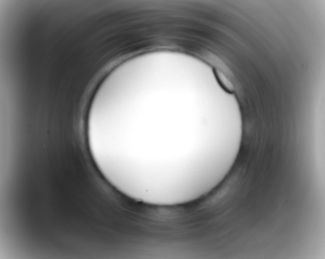 X0000088150947200706041352