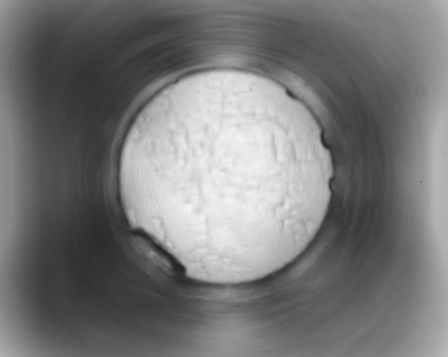 X0000088150948200706041352