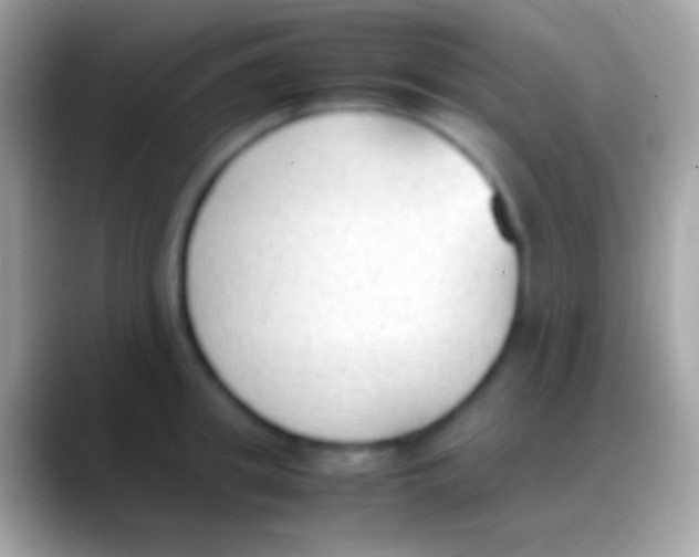 X0000088150949200706041352