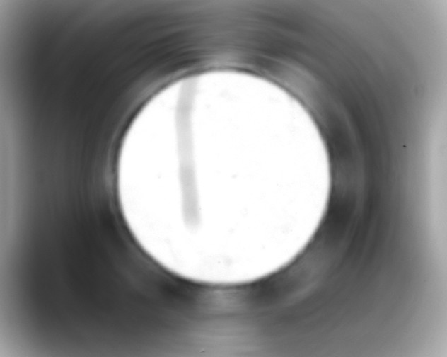 X0000088150950200706041352