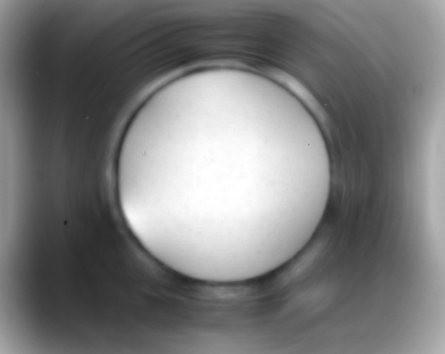 X0000088150951200706041352