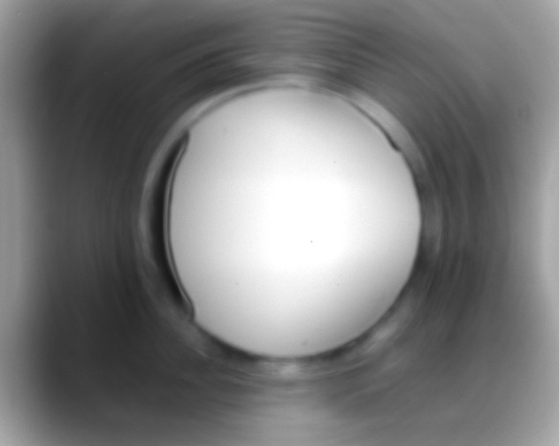 X0000088150956200706041352