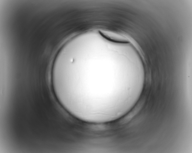 X0000088150957200706041352