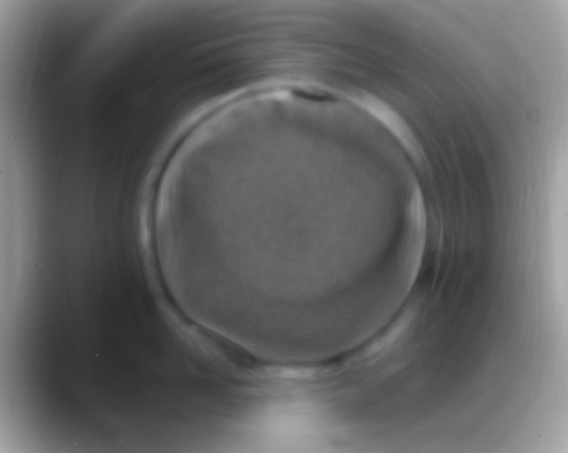 X0000088150958200706041352