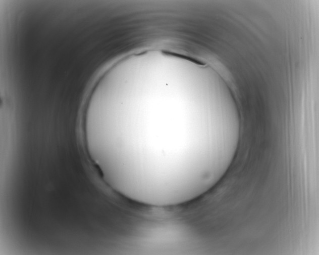 X0000088150960200706041352