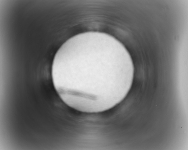 X0000088150962200706041352