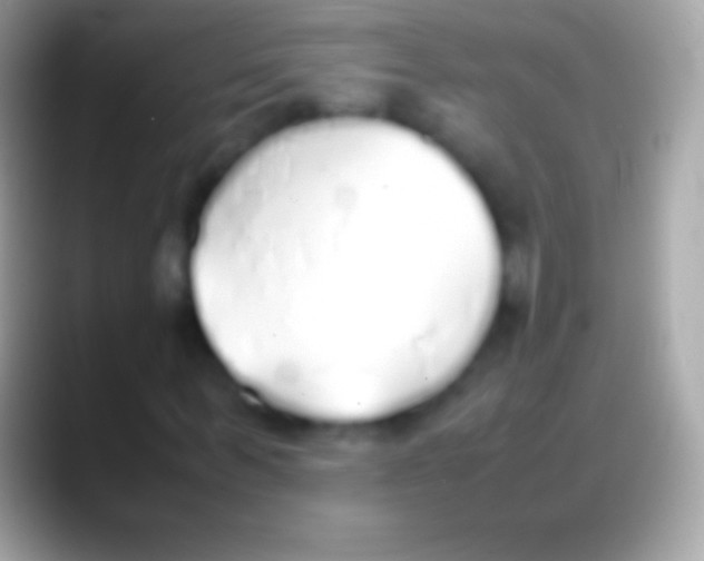 X0000088150963200706041352