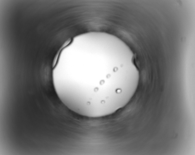 X0000088150964200706041352