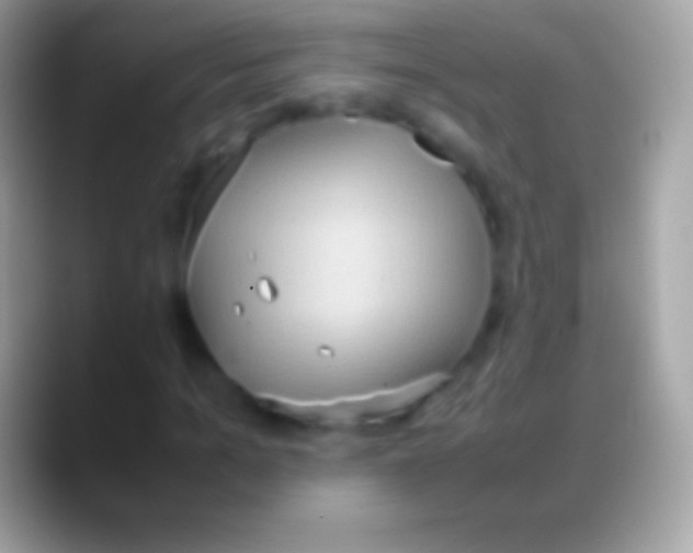 X0000088150965200706041352