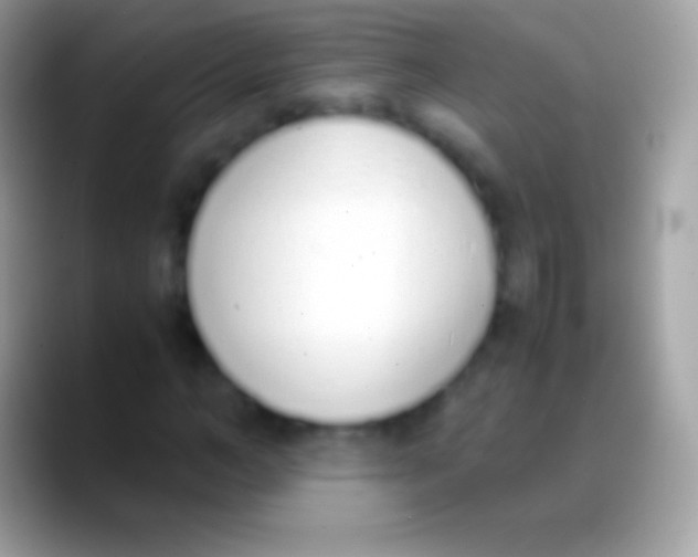 X0000088150966200706041352