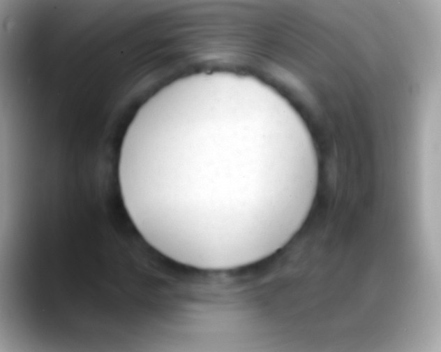 X0000088150968200706041352