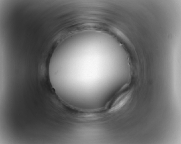 X0000088150969200706041352