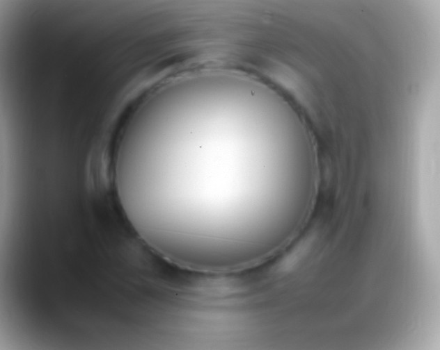 X0000088150973200706041352