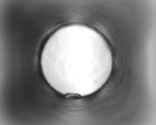 X0000088150975200706041352