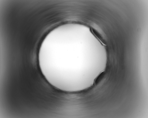 X0000088150976200706041352