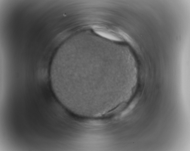 X0000088150977200706041352