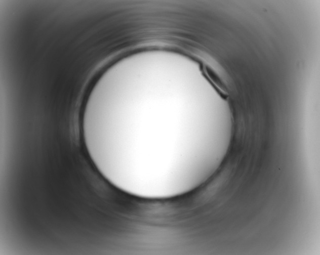 X0000088150980200706041352