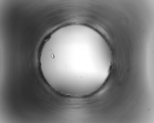 X0000088150981200706041352