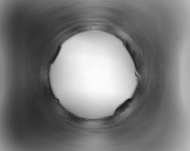 X0000088150985200706041352