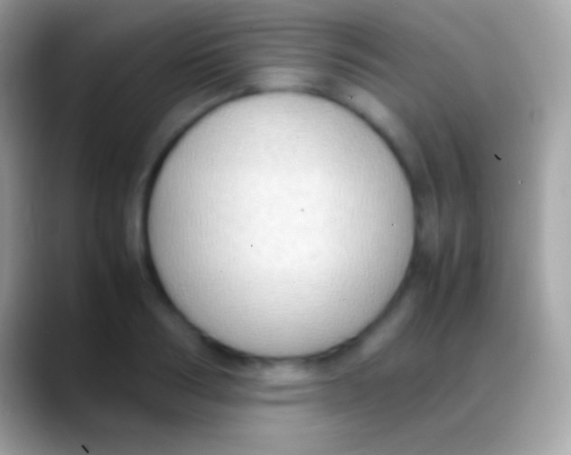 X0000088150986200706041352