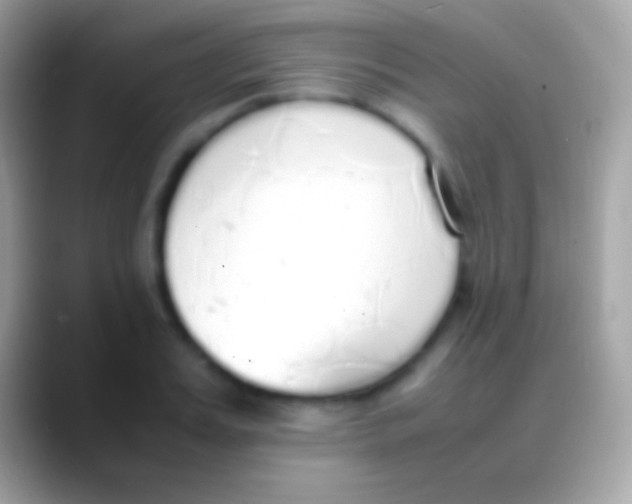 X0000088150987200706041352