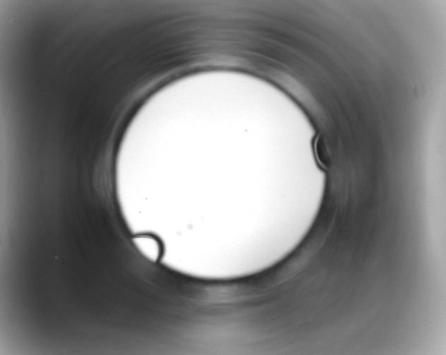 X0000088150988200706041352