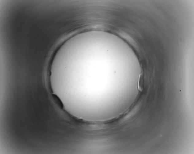 X0000088150989200706041352