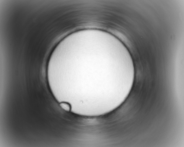 X0000088150990200706041352