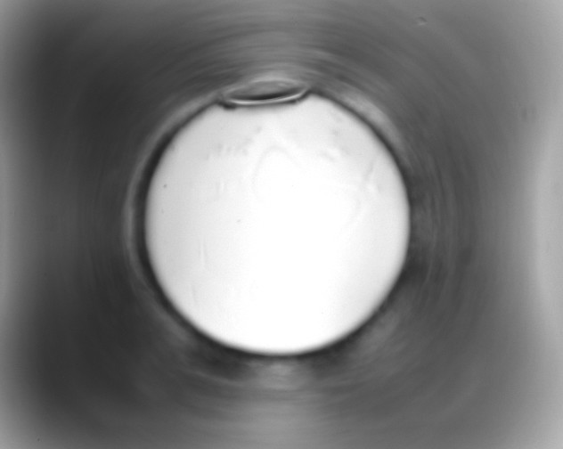 X0000088150991200706041351