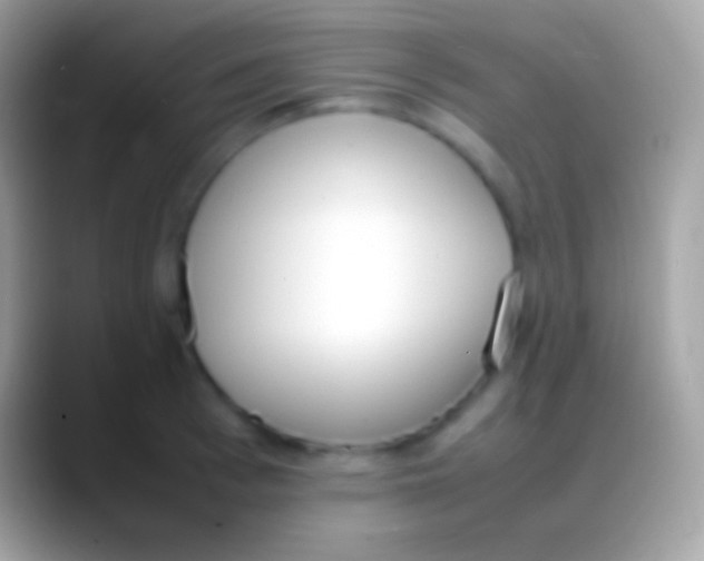 X0000088150993200706041351