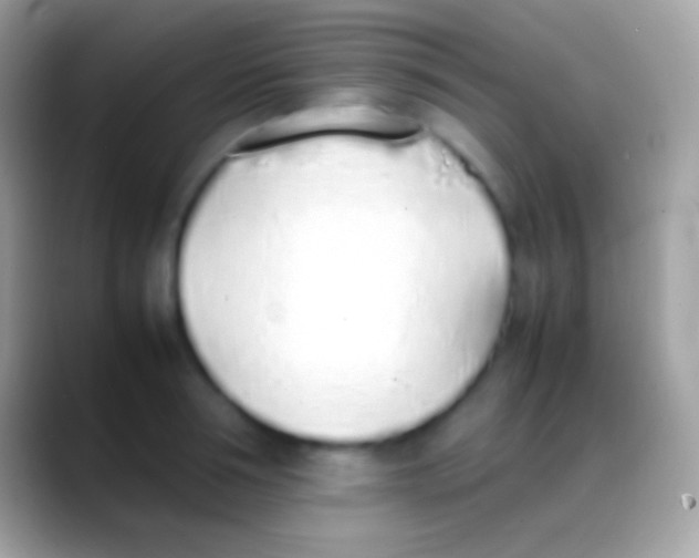 X0000088150994200706041351