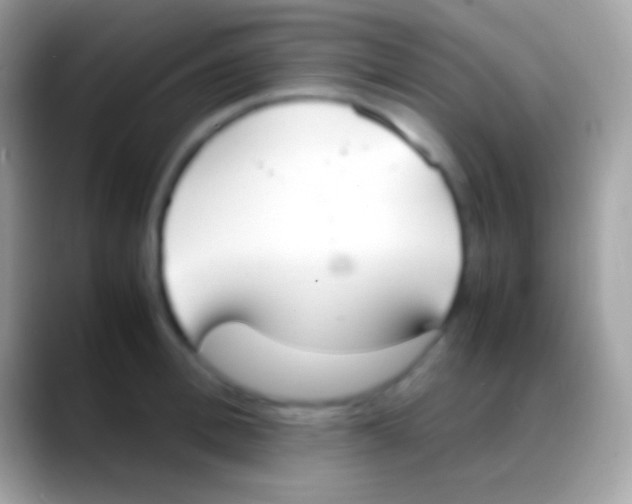 X0000088150996200706041351