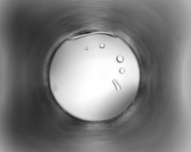 X0000088150997200706041351