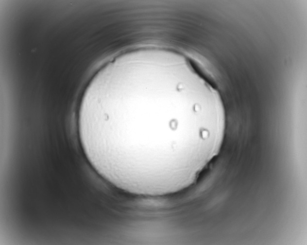 X0000088150998200706041351