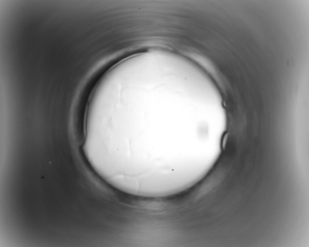 X0000088150999200706041351