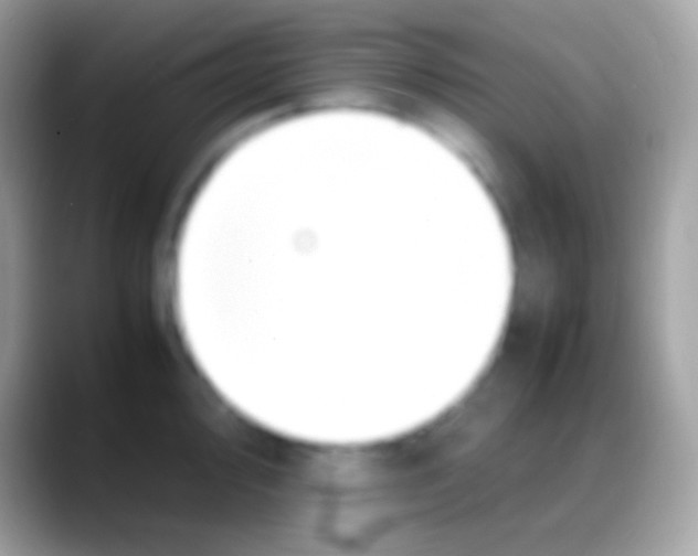 X0000088151000200706041351