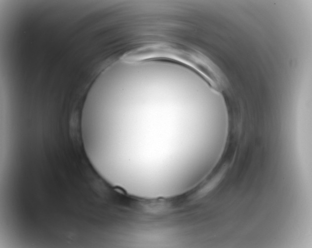 X0000088151001200706041351