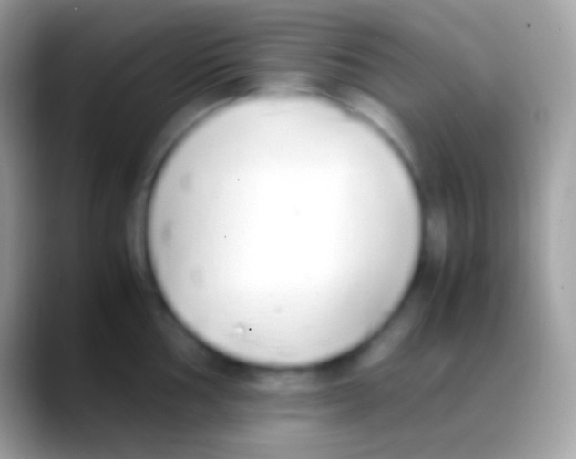 X0000088151002200706041351