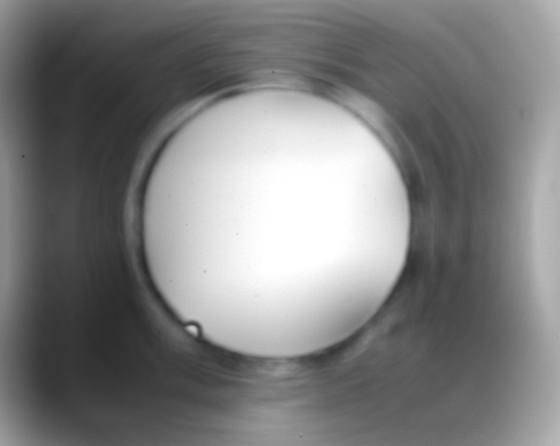 X0000088151003200706041351