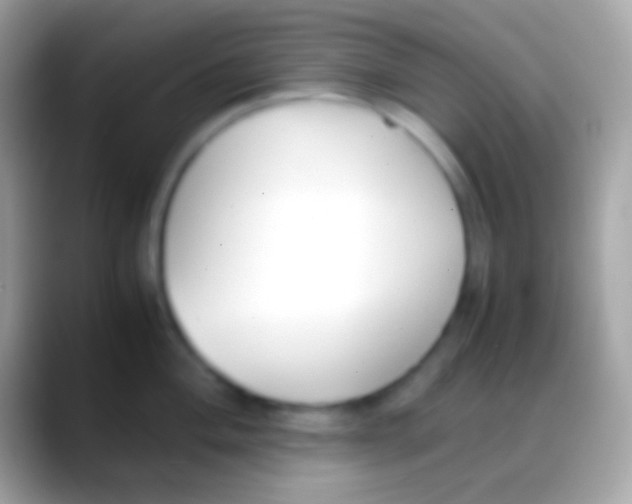 X0000088151004200706041351