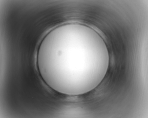 X0000088151006200706041351