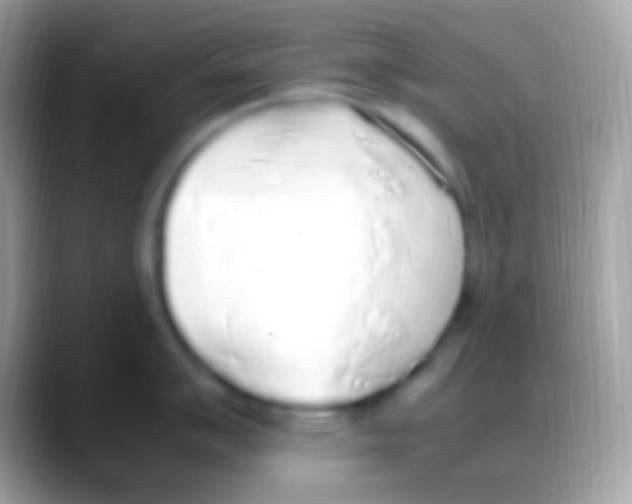 X0000088151007200706041351