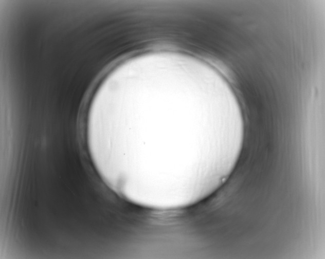 X0000088151008200706041351