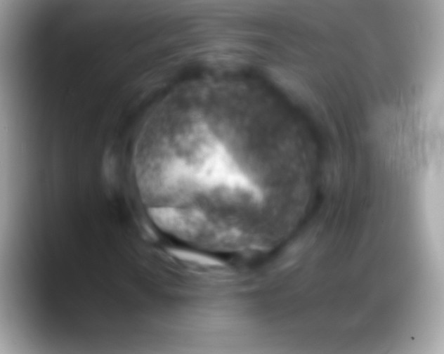 X0000088151010200706041351