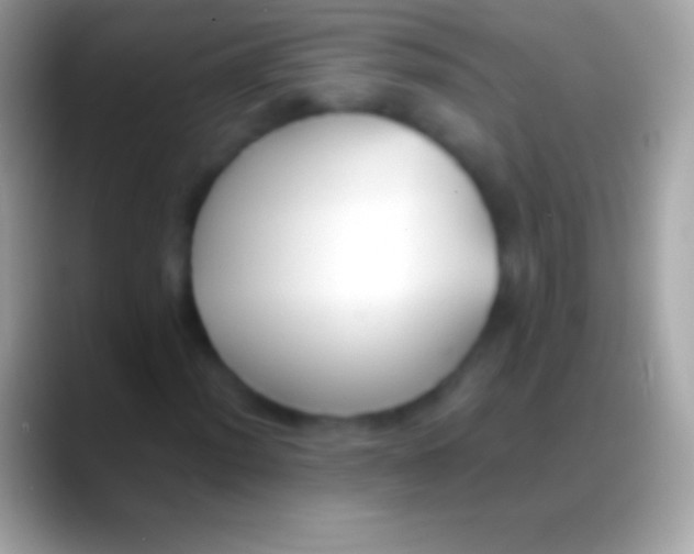 X0000088151012200706041351