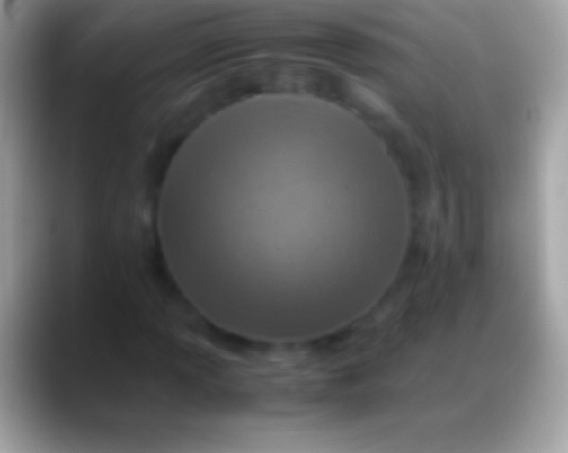 X0000088151013200706041351