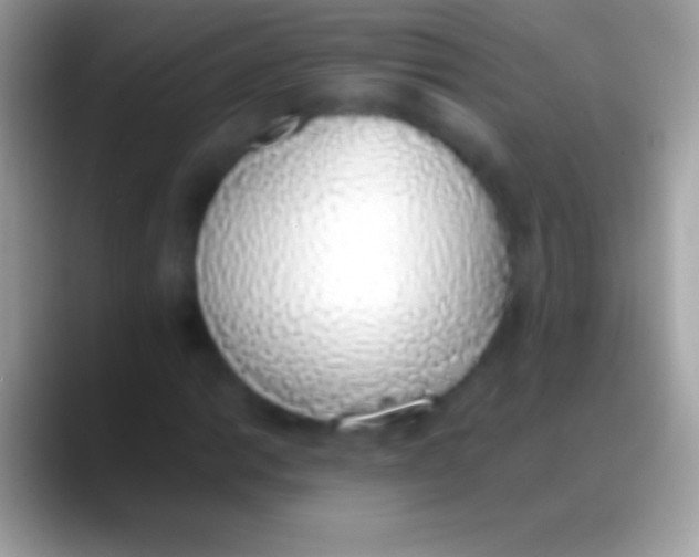 X0000088151014200706041351