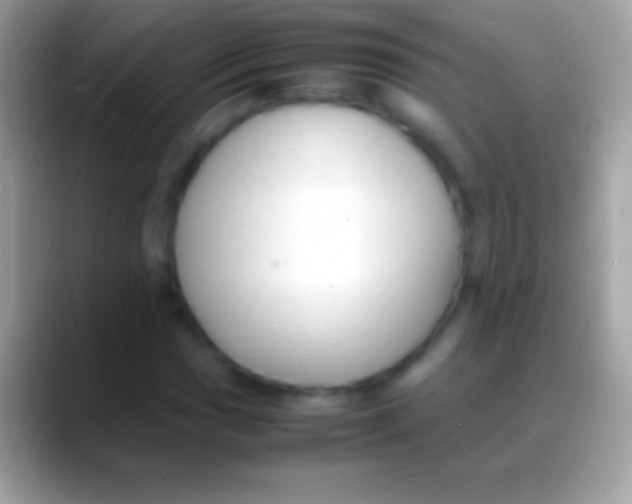 X0000088151017200706041351